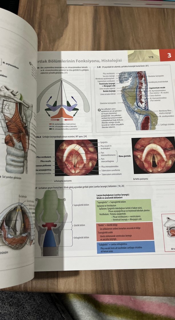 İnsan Anatomisi Atlası - Kas Tabloları ile - Görsel 3