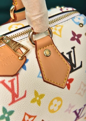 Renkli Louis Vuitton Deri Kadın Çantası - Görsel 5