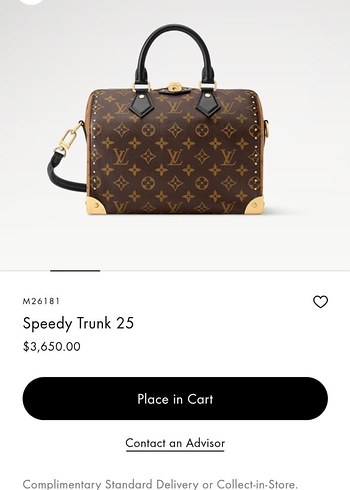 LOUIS VUITTON - Speedy Trunk 25 - Görsel 10