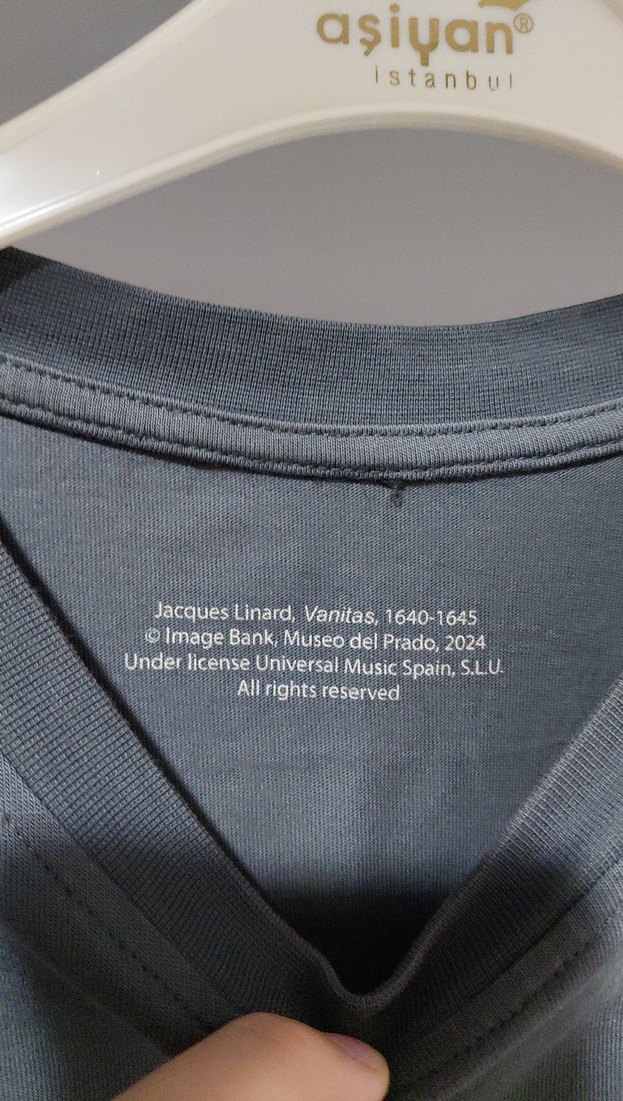 Gri Oversize Erkek Keten Tişört The End - Görsel 3