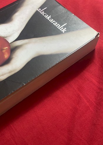Alacakaranlık 1 - Stephenie Meyer - Görsel 5