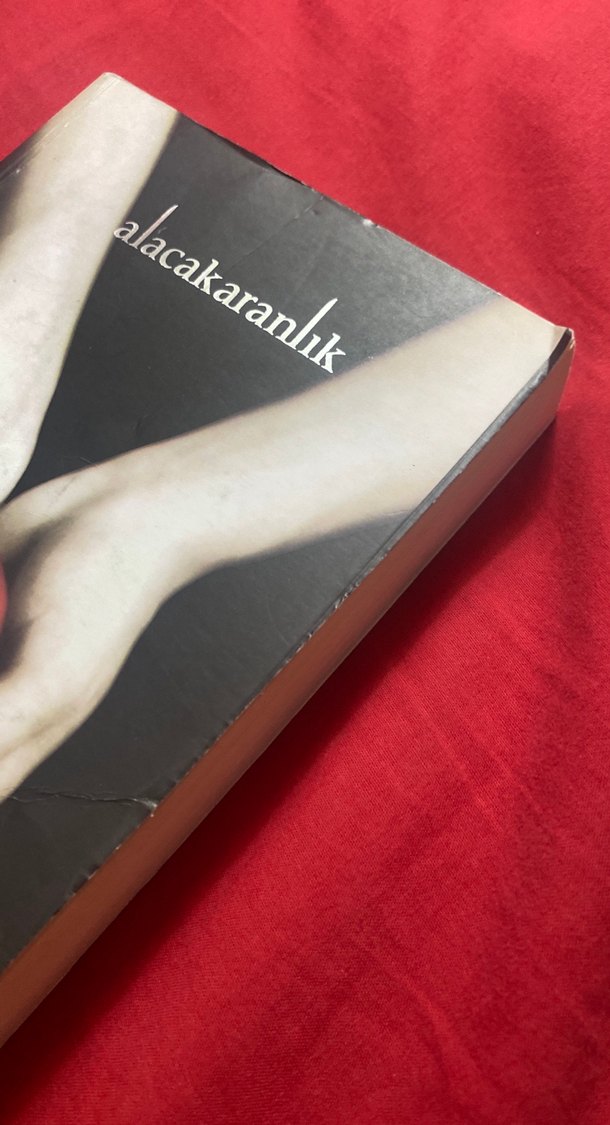 Alacakaranlık 1 - Stephenie Meyer - Görsel 3