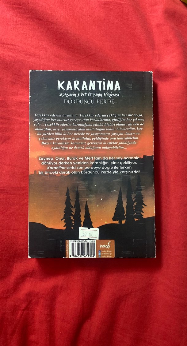 Karantina 4 - Beyza Alkoç - Görsel 3