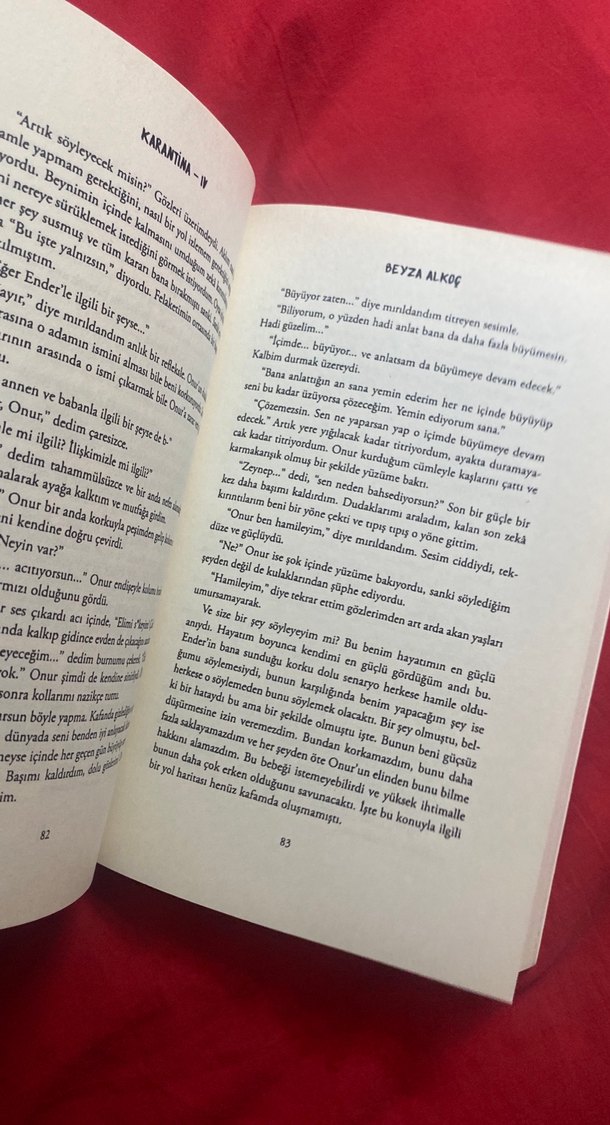 Karantina 4 - Beyza Alkoç - Görsel 5