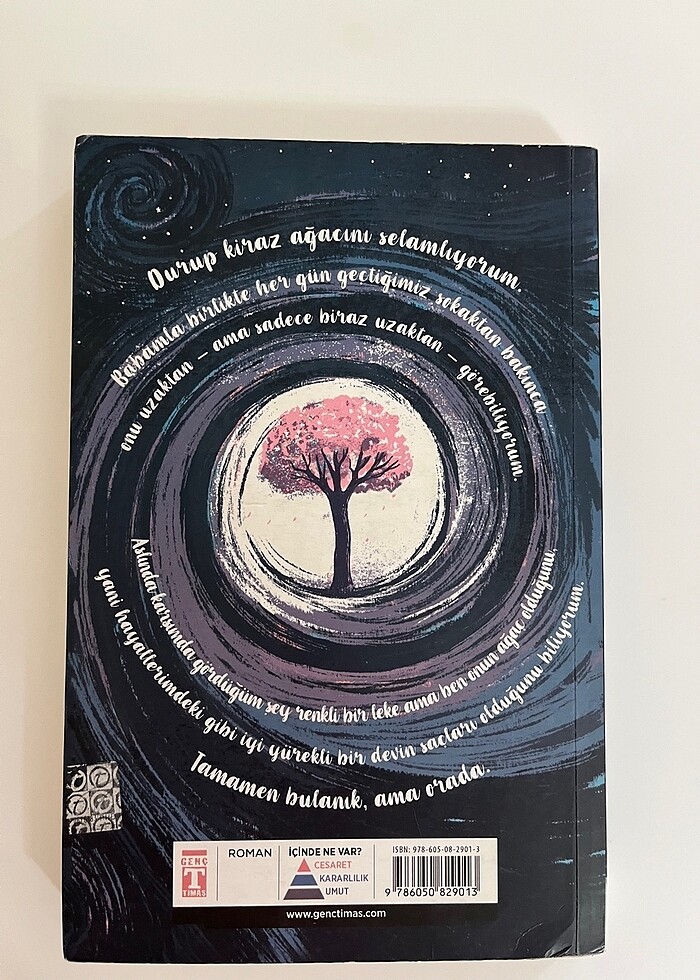 Kiraz ağacı ile aramızdaki mesafe - Görsel 2