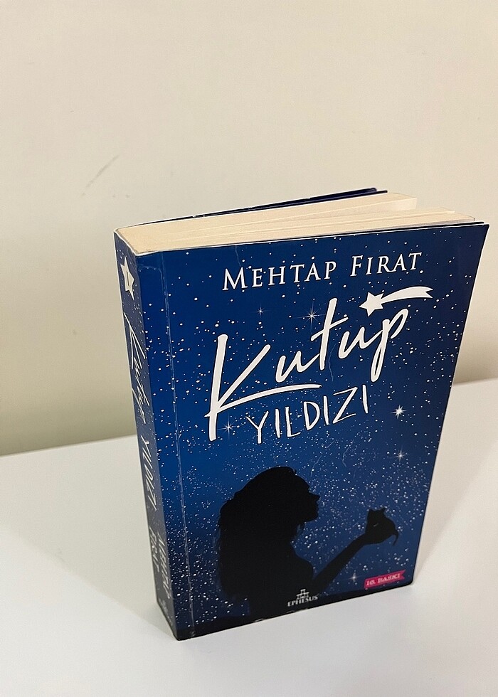 Kutup yıldızı hasarsız - Görsel 3