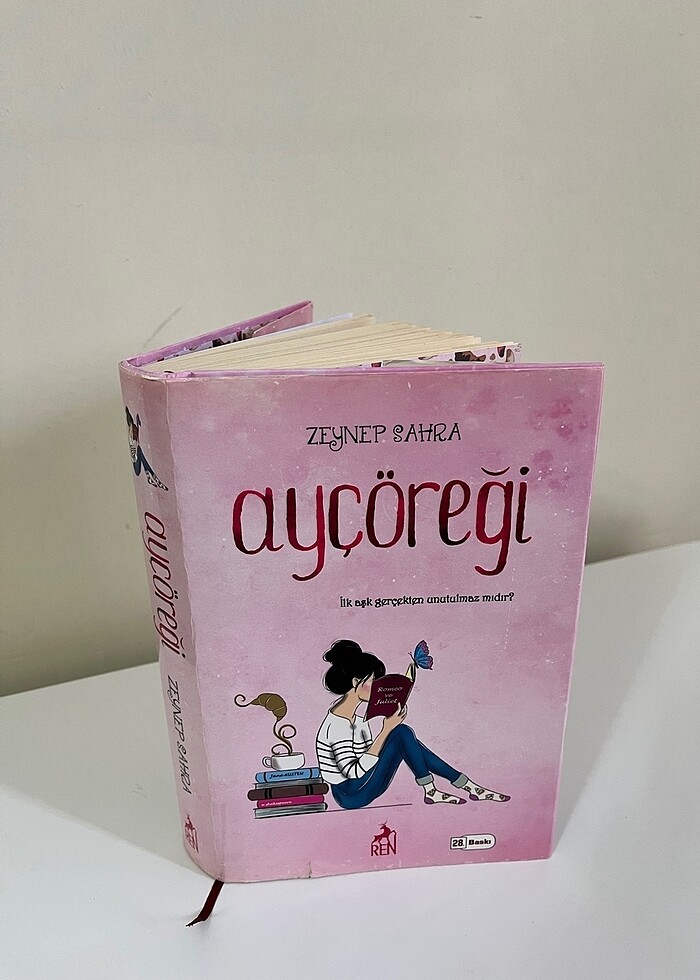 Üçlü ayçöreği serisi posterli ve ayraçlı - Görsel 3