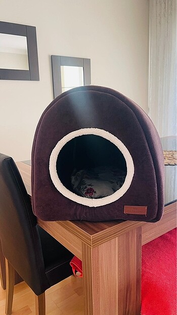Kedi evi
