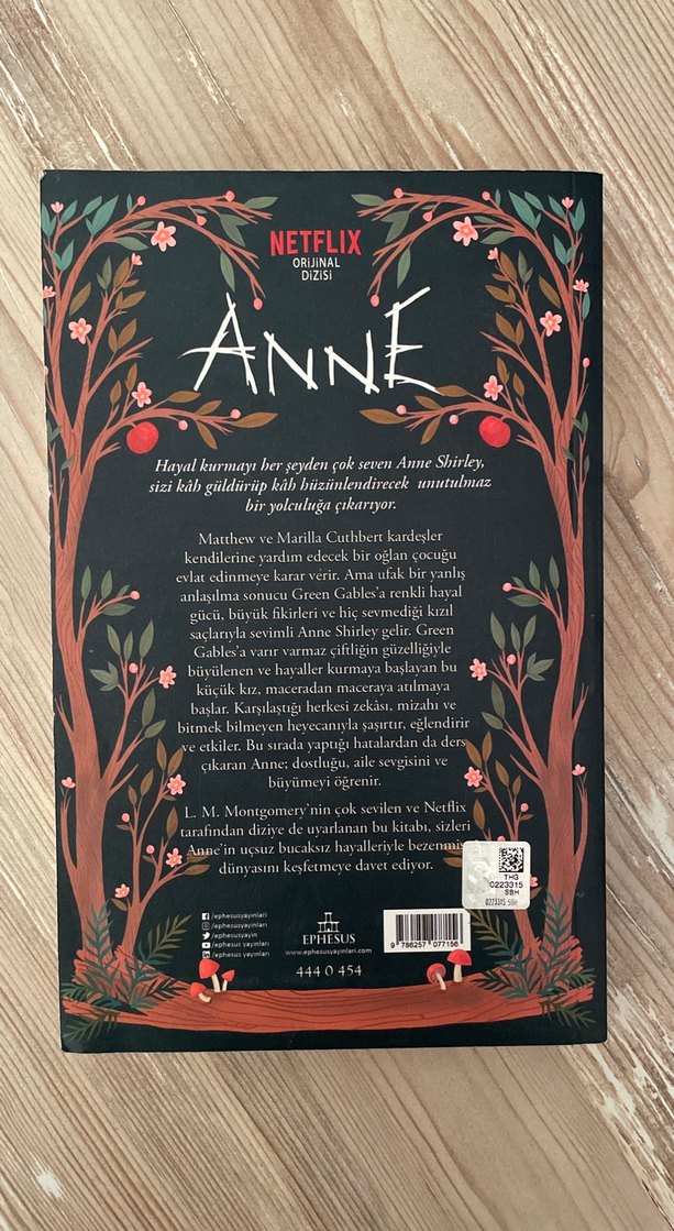 Yeşilin Kızı Anne - L.M. Montgomery - Görsel 2