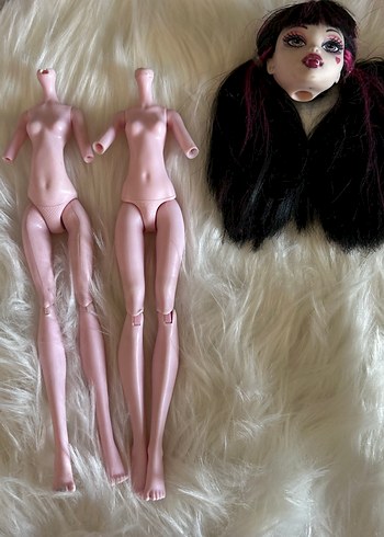 Draculaura parca