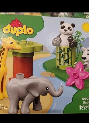 Duplo ve vardem