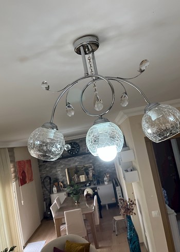 Gri Kristal Detaylı Tavan avize 2 adet - Görsel 5