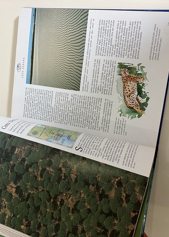 Reader's Digest Seçkisi: Dünya Harikalarını Keşfedin - Görsel 9