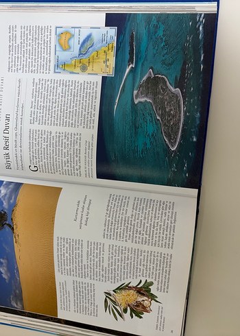 Reader's Digest Seçkisi: Dünya Harikalarını Keşfedin - Görsel 4