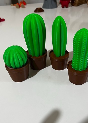 Beden 3D baskı Kaktüs