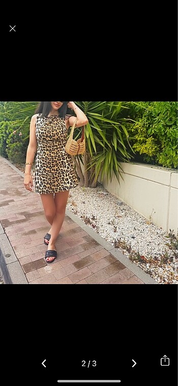 Zara Zara leopar elbise