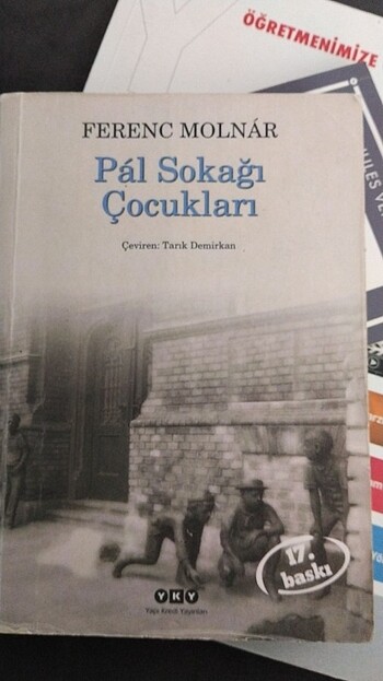 Pal sokağı çocukları 
