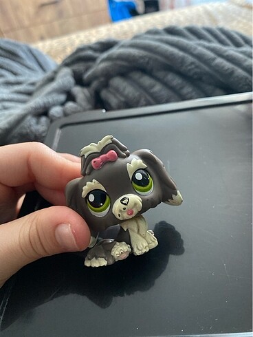 PonPon Miniş