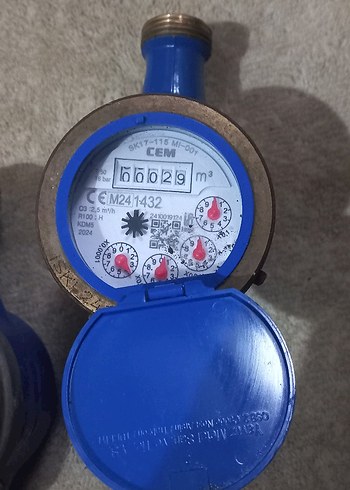 SU SAYACI VE VANA - Görsel 4