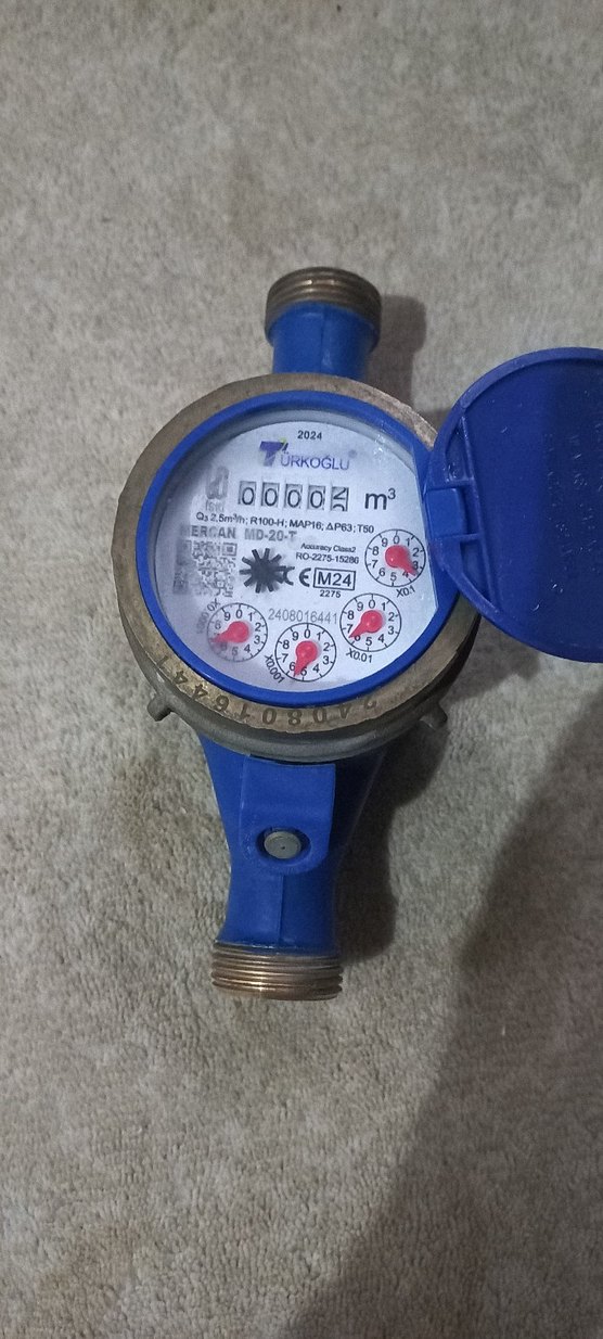 SU SAYACI VE VANA - Görsel 2