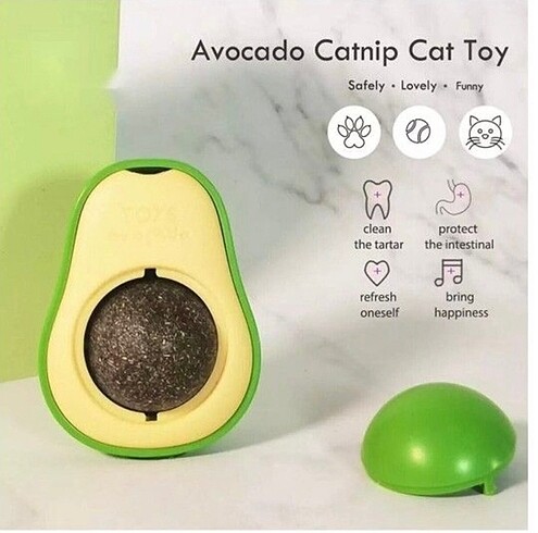  Kedi nanesi