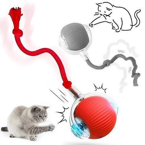 Hareketli kedi topu