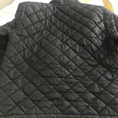 l Beden Lacoste erkek mont