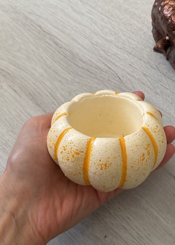 Kaktüs Desenli saksılar - Görsel 2