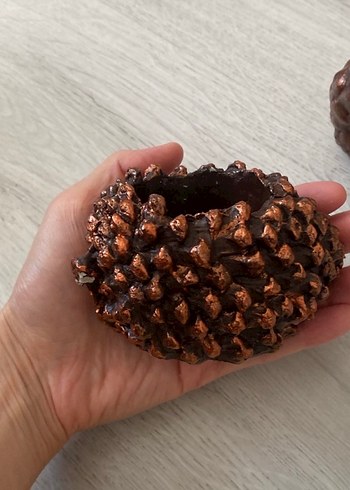 Kaktüs Desenli saksılar - Görsel 3