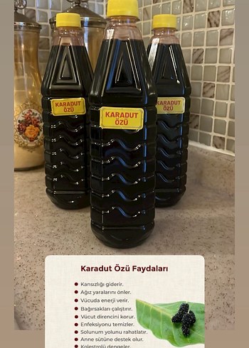 Karadut Özü - Doğal Sağlık Desteği