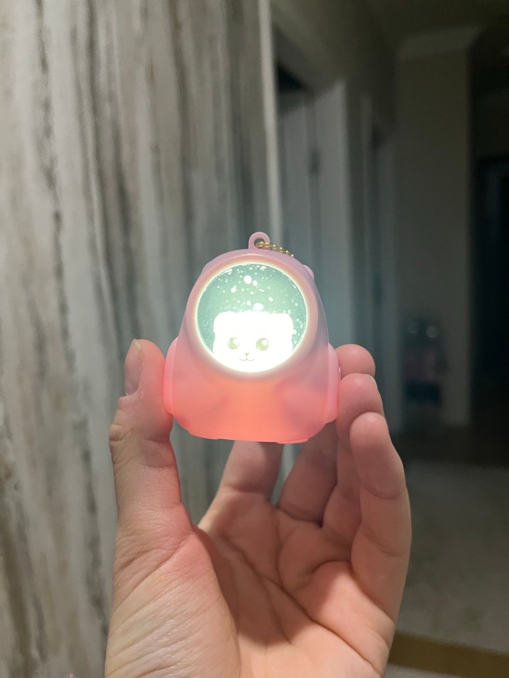 Pembe kedili minik lamba - Görsel 3