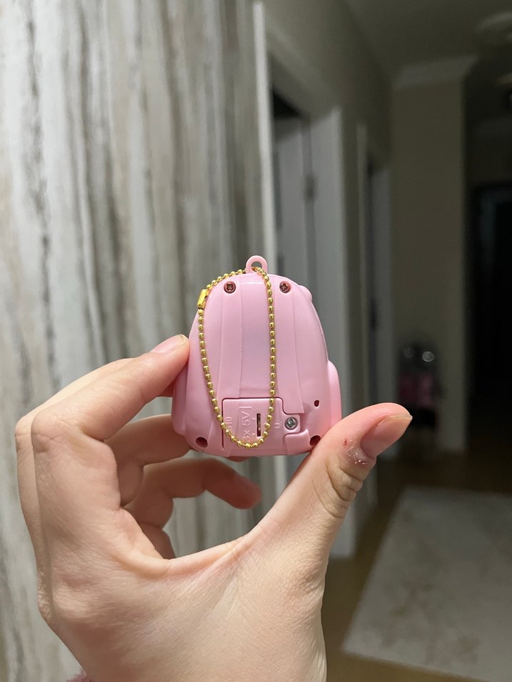 Pembe kedili minik lamba - Görsel 2