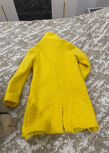 Sarı Kaban - Görsel 4