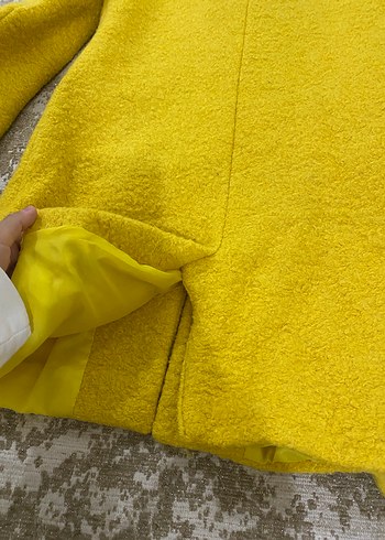 Sarı Kaban - Görsel 5