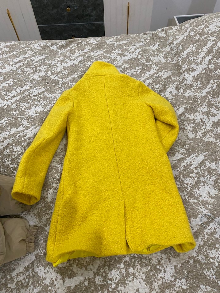 Sarı Kaban - Görsel 4