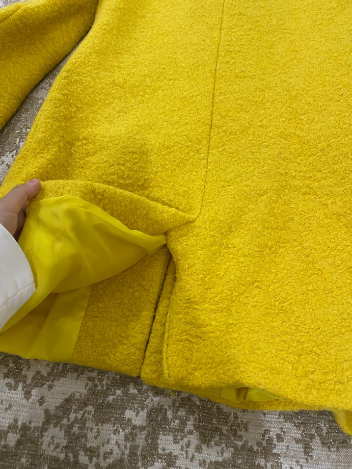 Sarı Kaban - Görsel 5