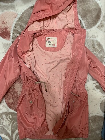 Toz pembe mont