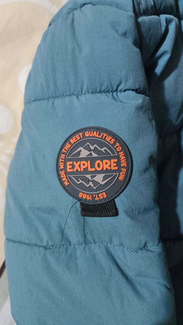 Erkek Çocuk Mavi Kapüşonlu Mont - Görsel 4