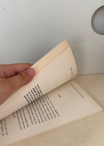 Hüzünlü Bir Ponçik - Çağrı Taner - Görsel 3