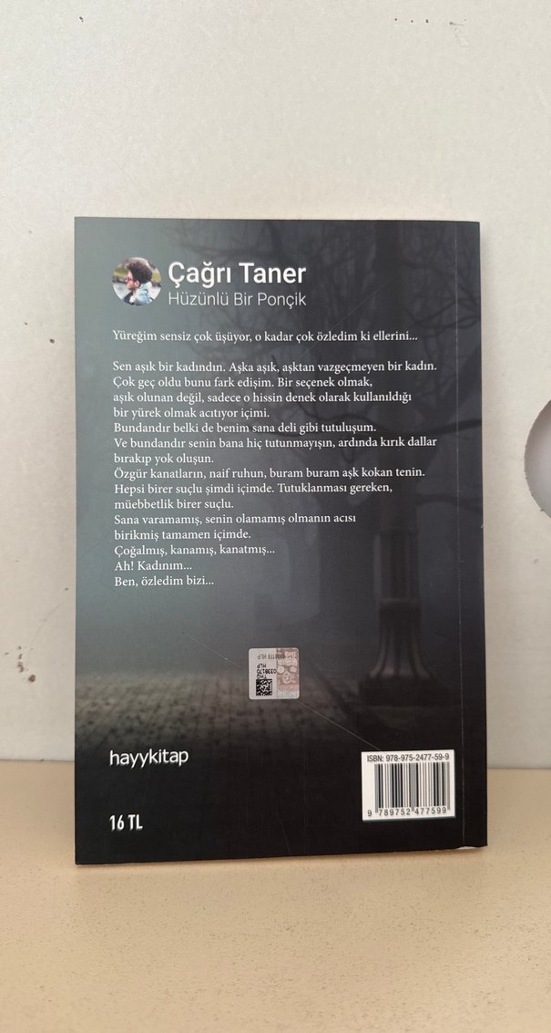 Hüzünlü Bir Ponçik - Çağrı Taner - Görsel 2