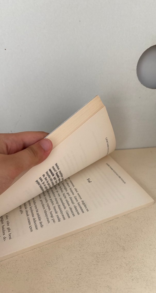 Hüzünlü Bir Ponçik - Çağrı Taner - Görsel 3