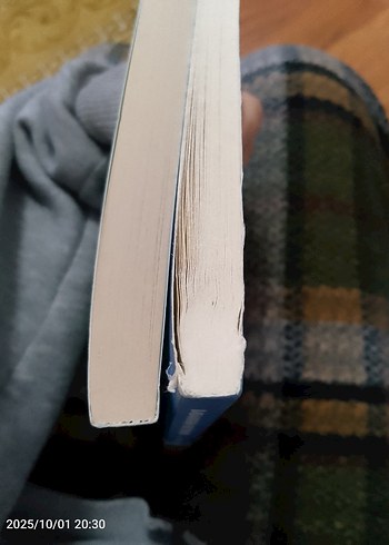  Babaannem geri döndü /Huckleberry Finn'in Maceraları