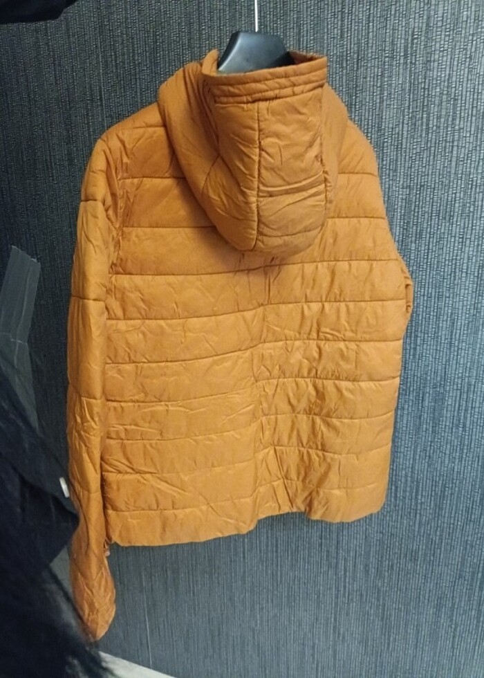 Mavi s beden  - Görsel 2