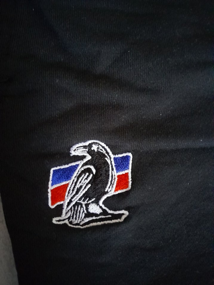 Orijinal Air Jordan Şort - Görsel 4