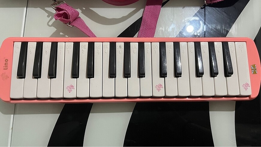 s Beden pembe Renk pembe melodika