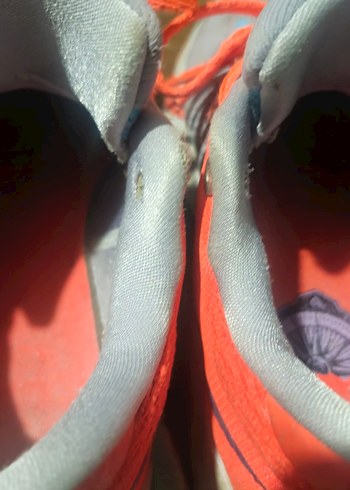 Renkli Baskılı Bağcıklı Basketbol Ayakkabısı - Görsel 5