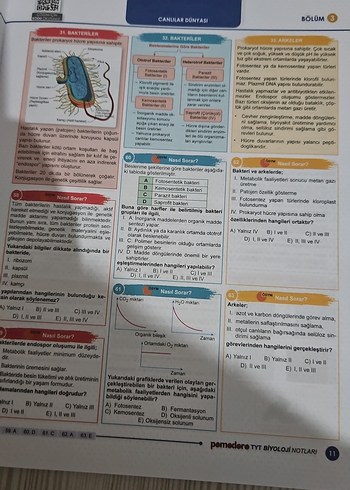 Beden Renk Pomodoro TYT Süper Pratik Notlar Seti