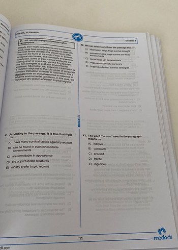  YKS DİL YDT 10 Özgün Deneme Modadil Yayınları
