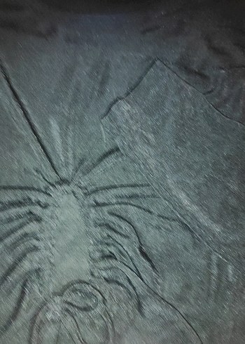 Addax Uzun Kollu Siyah şık kadın üst giyim