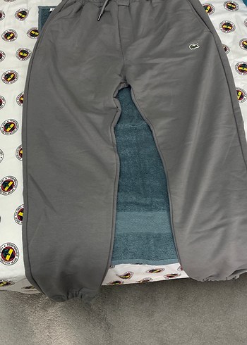 Lacoste Gri Jogger Pantolon